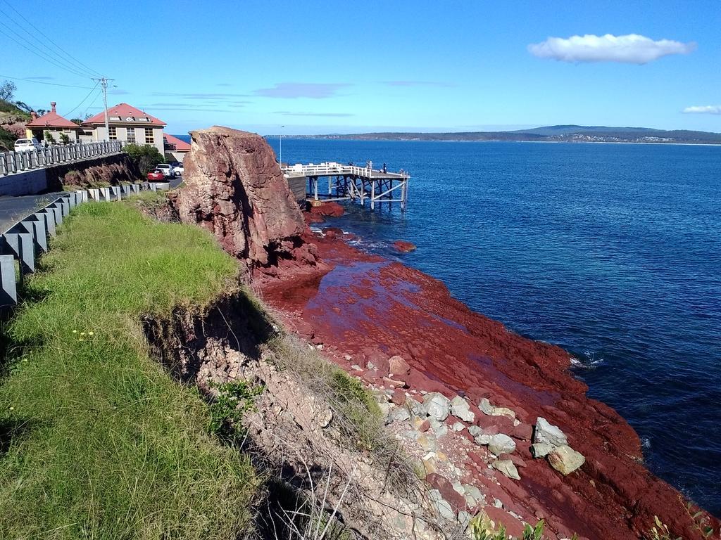 Como Lodge Merimbula Luaran gambar